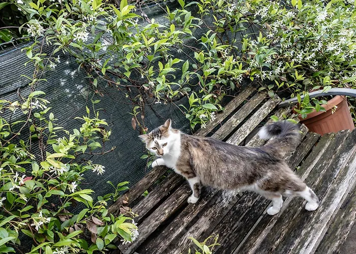 Aparthotel Case Vacanze Da Cien 4*